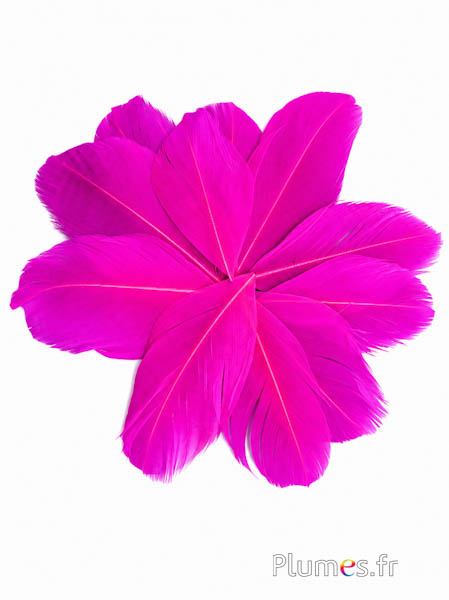 Pluimenblaadjes  - 6-8 cm x 3-4 cm - pink